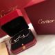 AAA Cartier Juste Un Clou Diamond Earrings Replica - 925 Silver   (2)_th.JPG